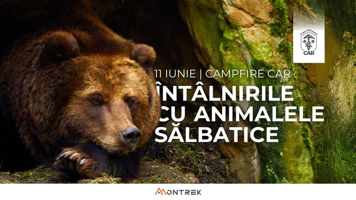 CampfireCAR - Miercuri 11 iunie 2025, ora 19, Montrek