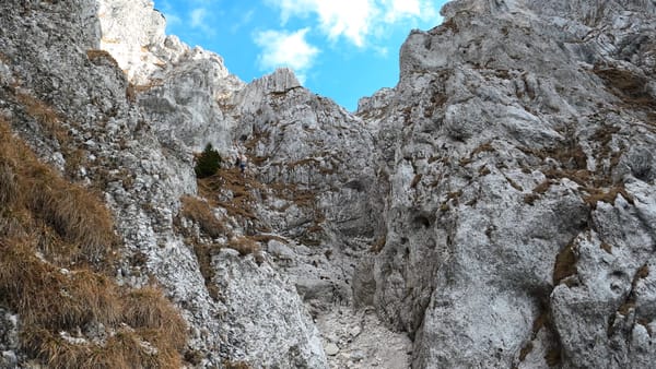 Anghelide - Brâul de Mijloc - La Lanțuri (rapel) • 30.10.2022